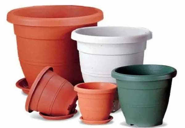 قیمت خرید گلدان پلاستیکی گلخانه ای + فروش ویژه